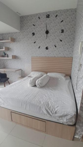 studio lt 642 Tamel